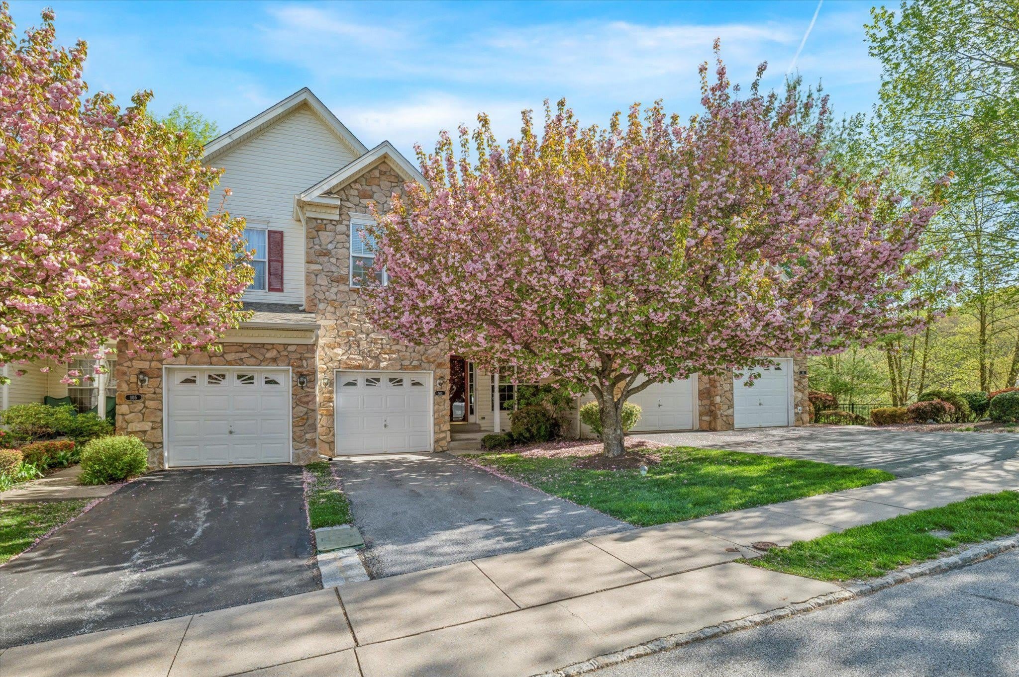 103 BIRCHWOOD Drive – photo 1