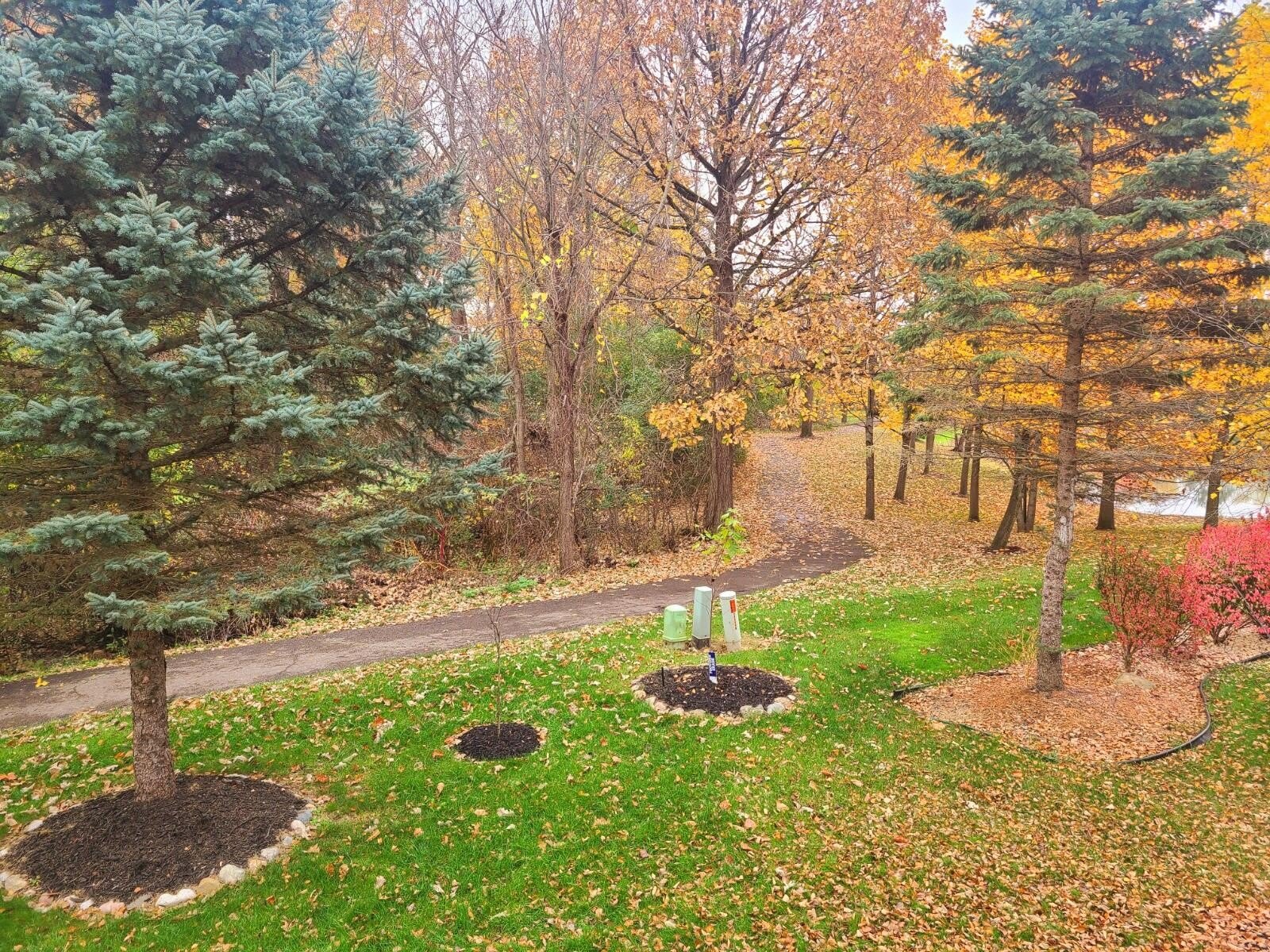 16544 Mulberry Way – photo 4