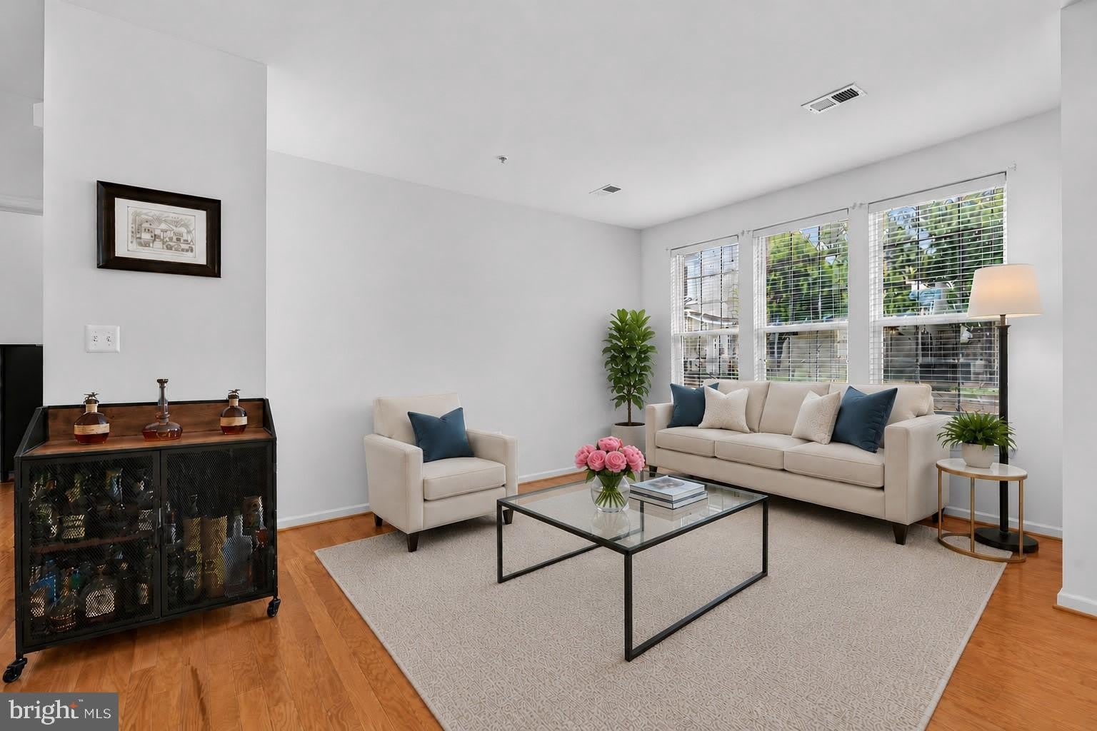 43081 ZANDER Terrace – photo 5