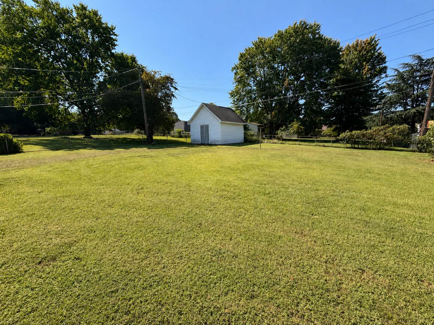 813 Branchwood Drive – photo 3