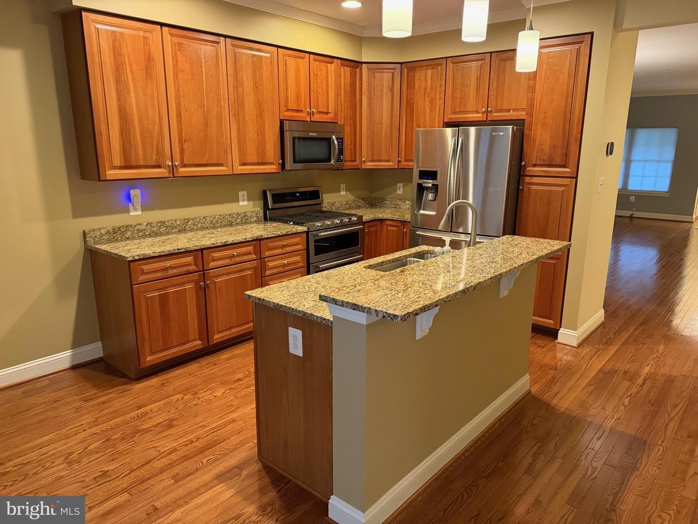 615 STRANDHILL CT – photo 4
