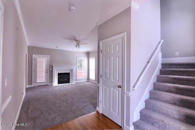 3731 Langston Boulevard – photo 3