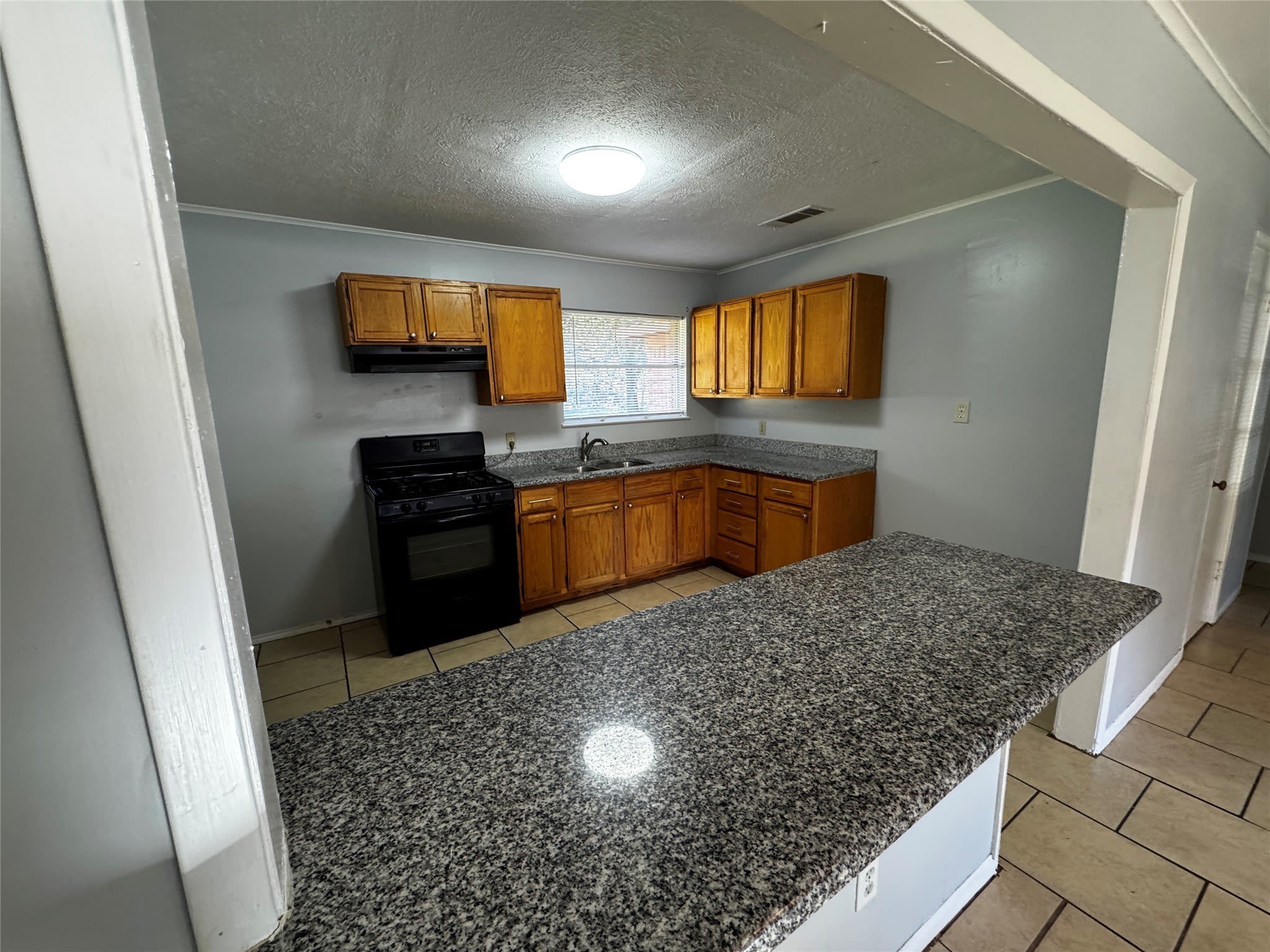 1309 Ann Arbor Drive – photo 4