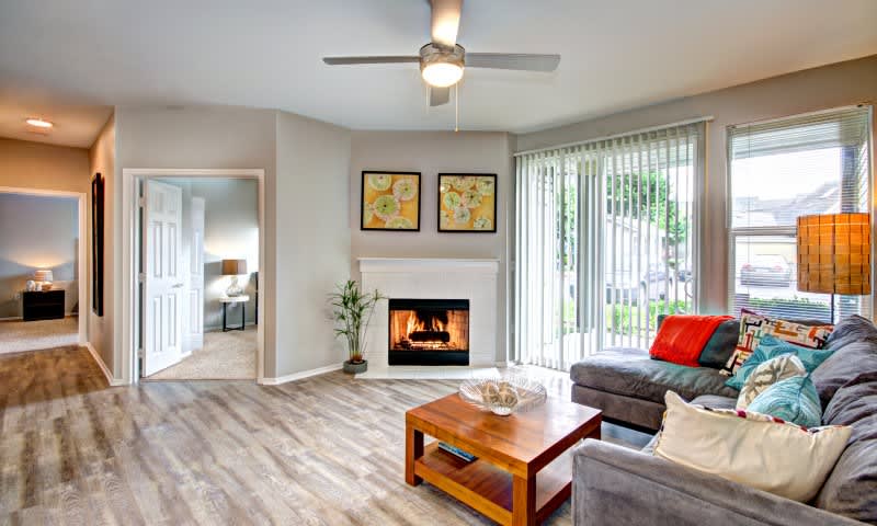 Avana One Six Four – photo 4