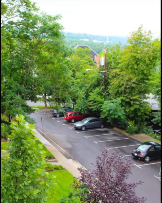 113 Dewitt Pl. – photo 2