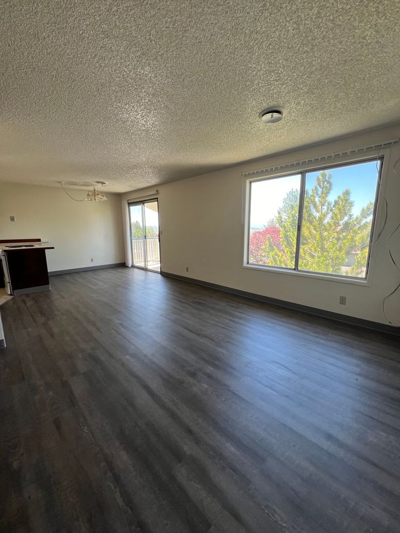 2 Bedroom 1 Bathroom Upstairs Apartment In The South Suburbs – photo 1