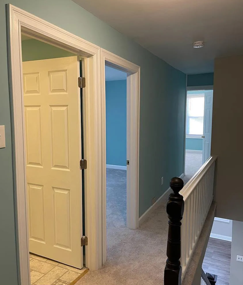 6 Burke Street – photo 5