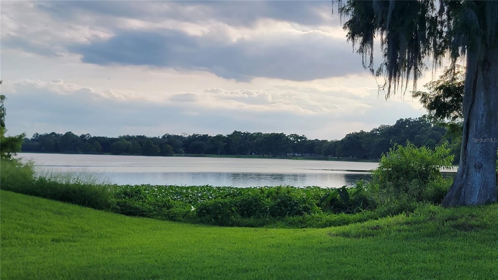 4023 VERSAILLES Drive – photo 3