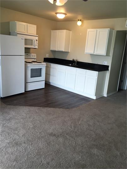 251 Tenney – photo 1