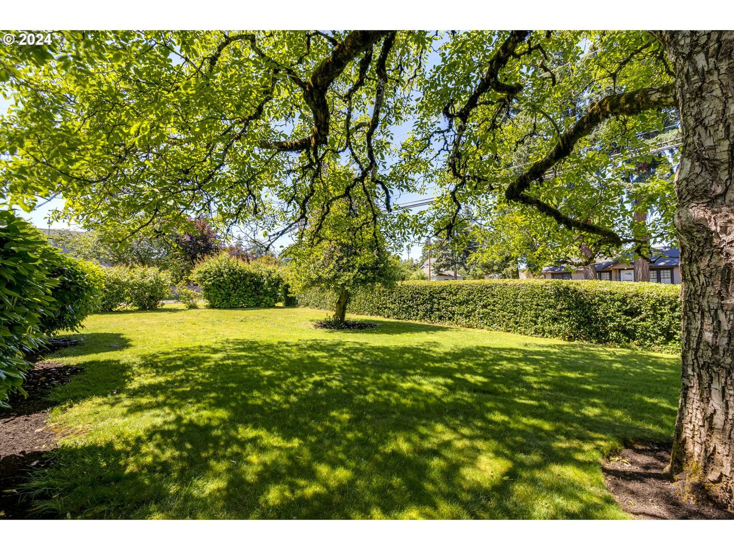 Historic 4 Bedroom Stone Home With Timeless Character Hardwood Floors Spacious Living A Large Private Yard – photo 3