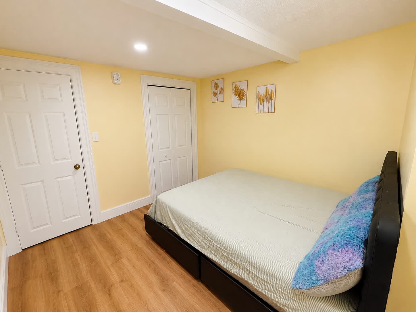 257 Lawrence Street – photo 5