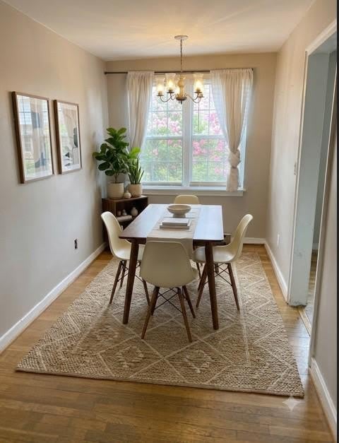 19 AUBURN Court – photo 4