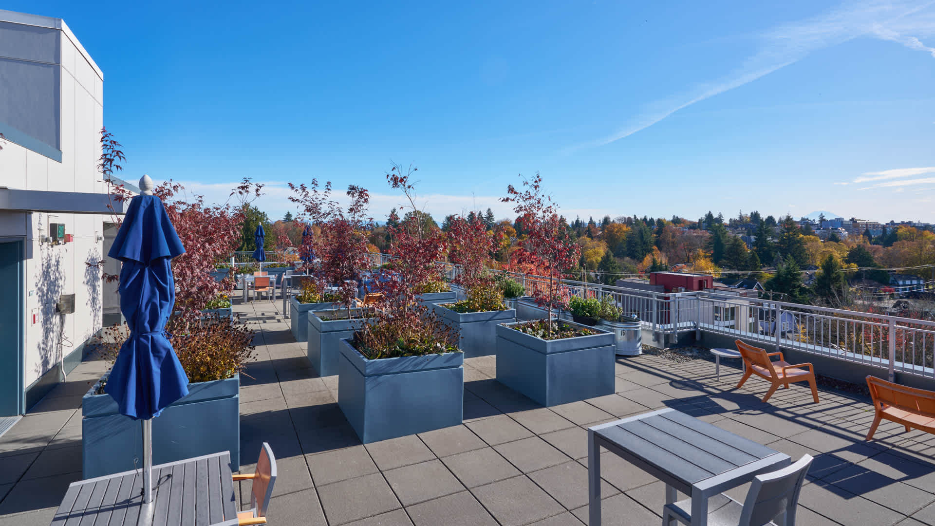 Square One Apartments – photo 4