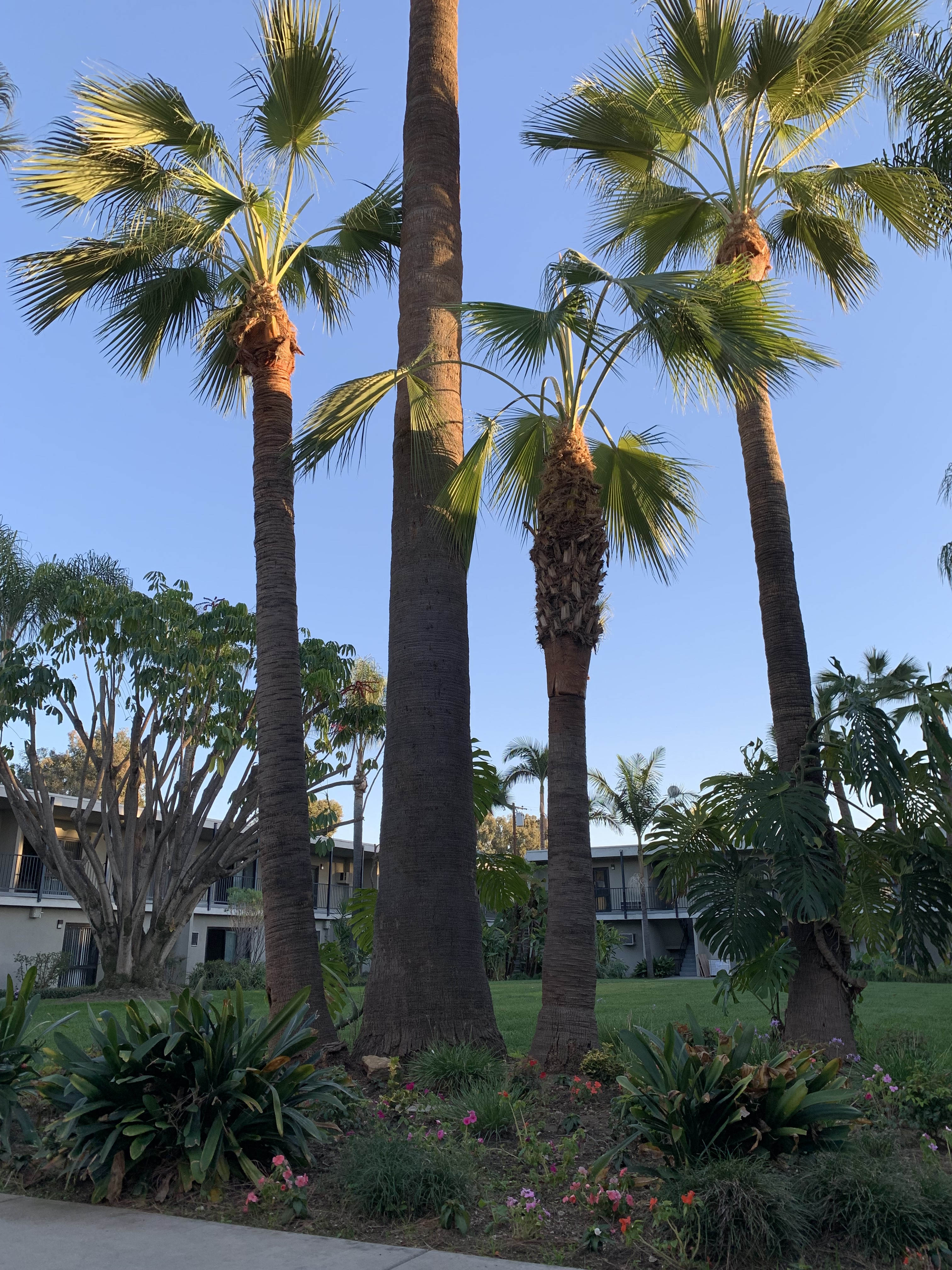 1000 East Alosta Avenue – photo 2