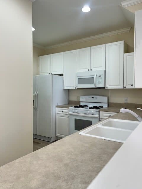 2113 Thornblade Drive – photo 2