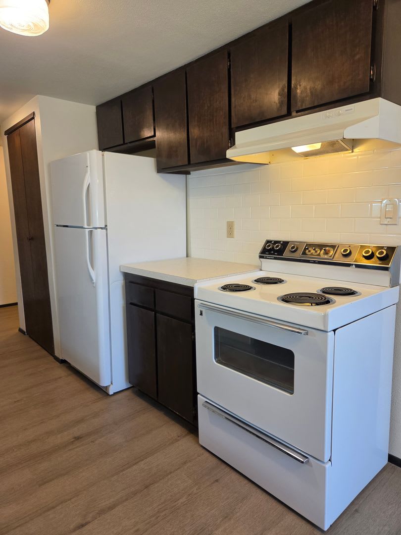 1360 Orleans – photo 4