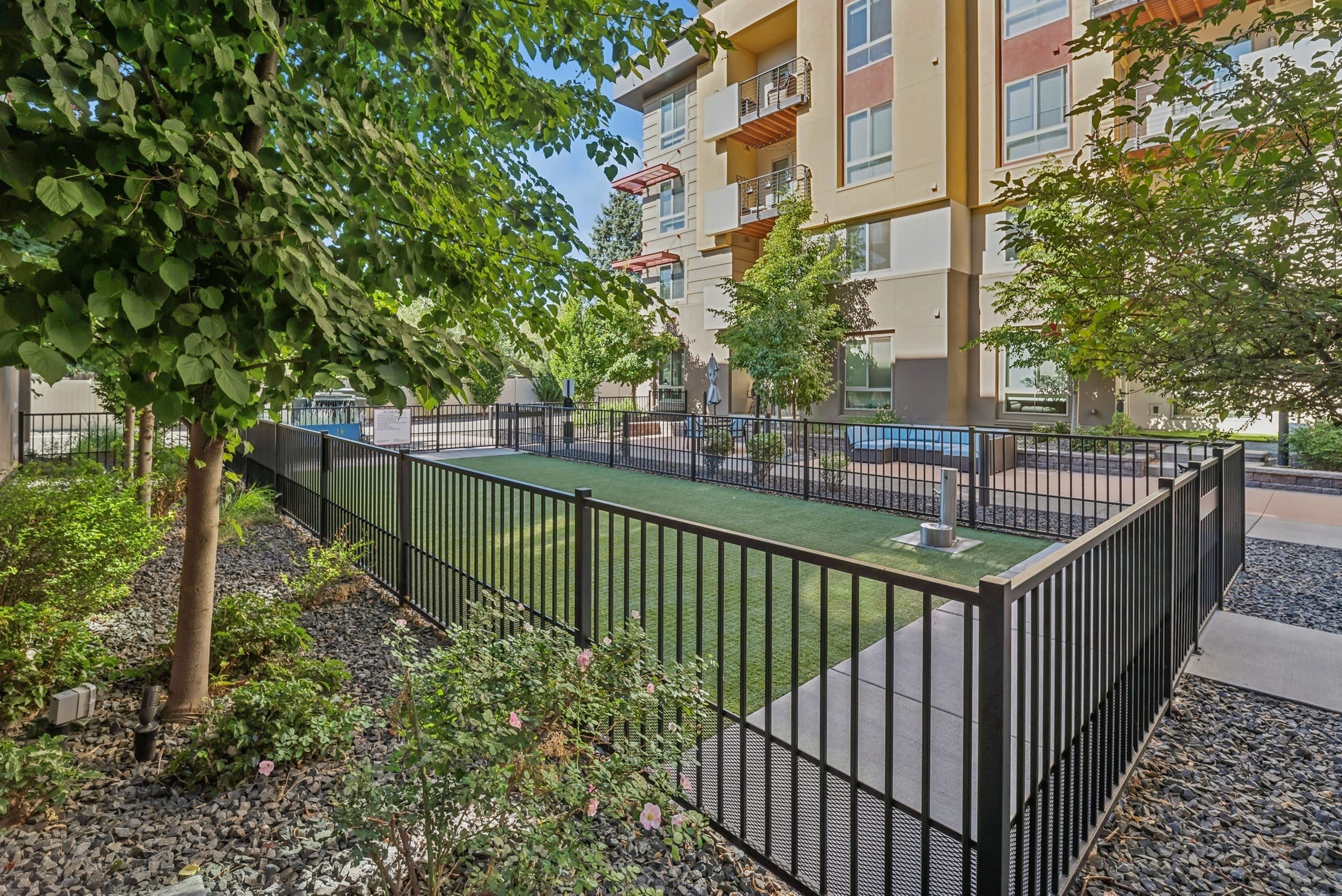AMLI Cherry Creek – photo 4