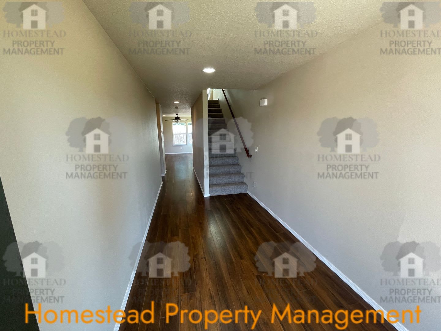 535 – photo 2