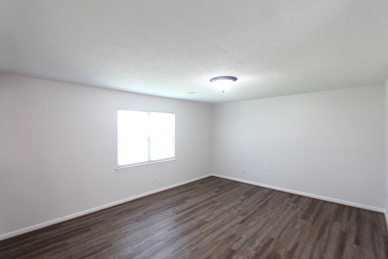 New On The Market with Fresh Updates!! Better Hurry!! – photo 4