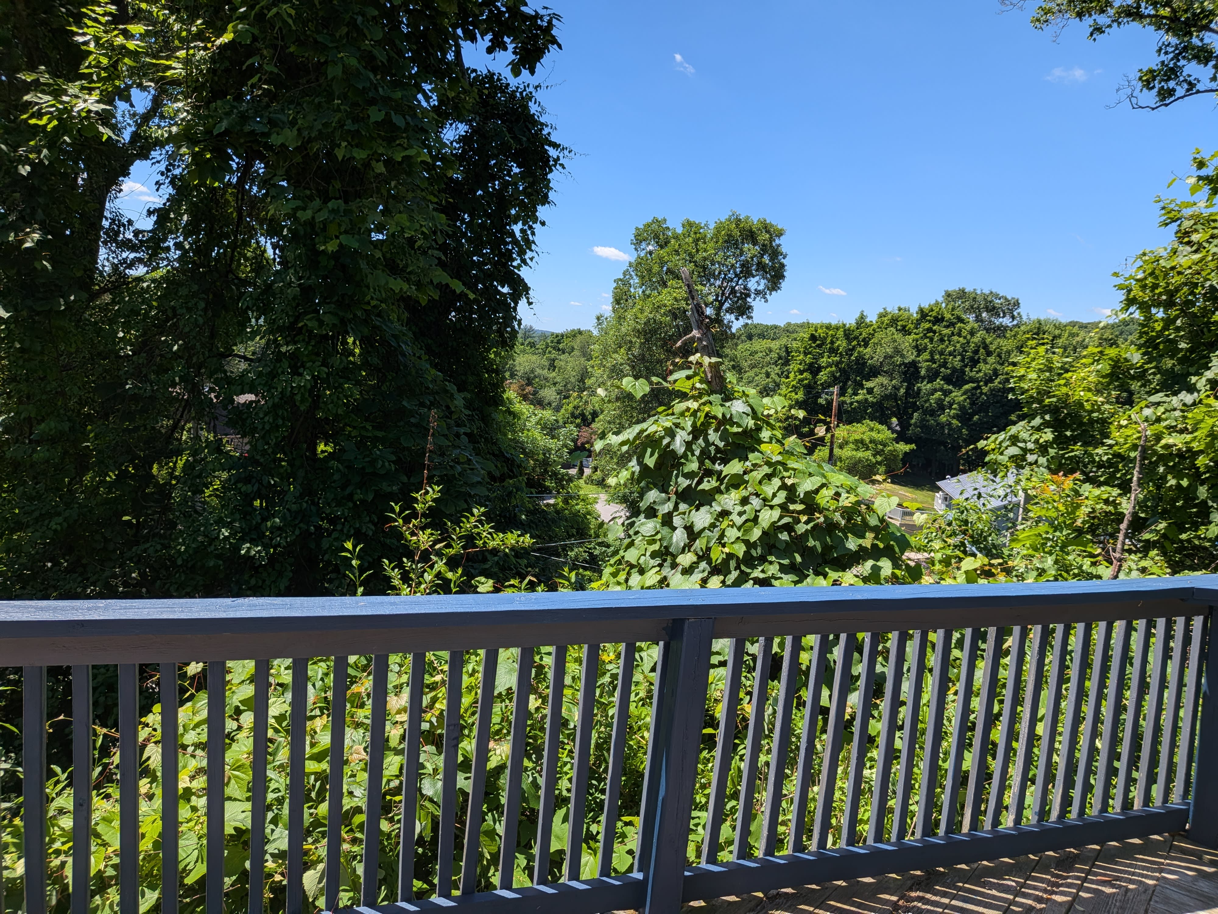 4 Newport Road – photo 3
