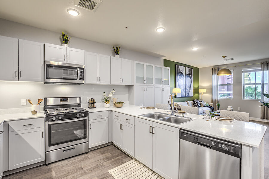 Radiance at Rock Springs 55+ – photo 2