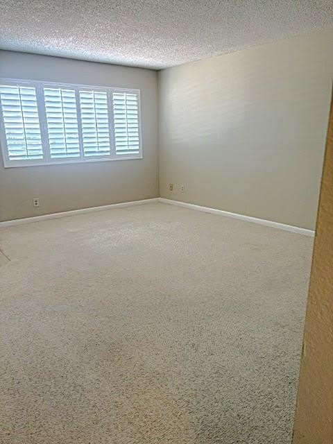 10110 N 97TH Drive – photo 3