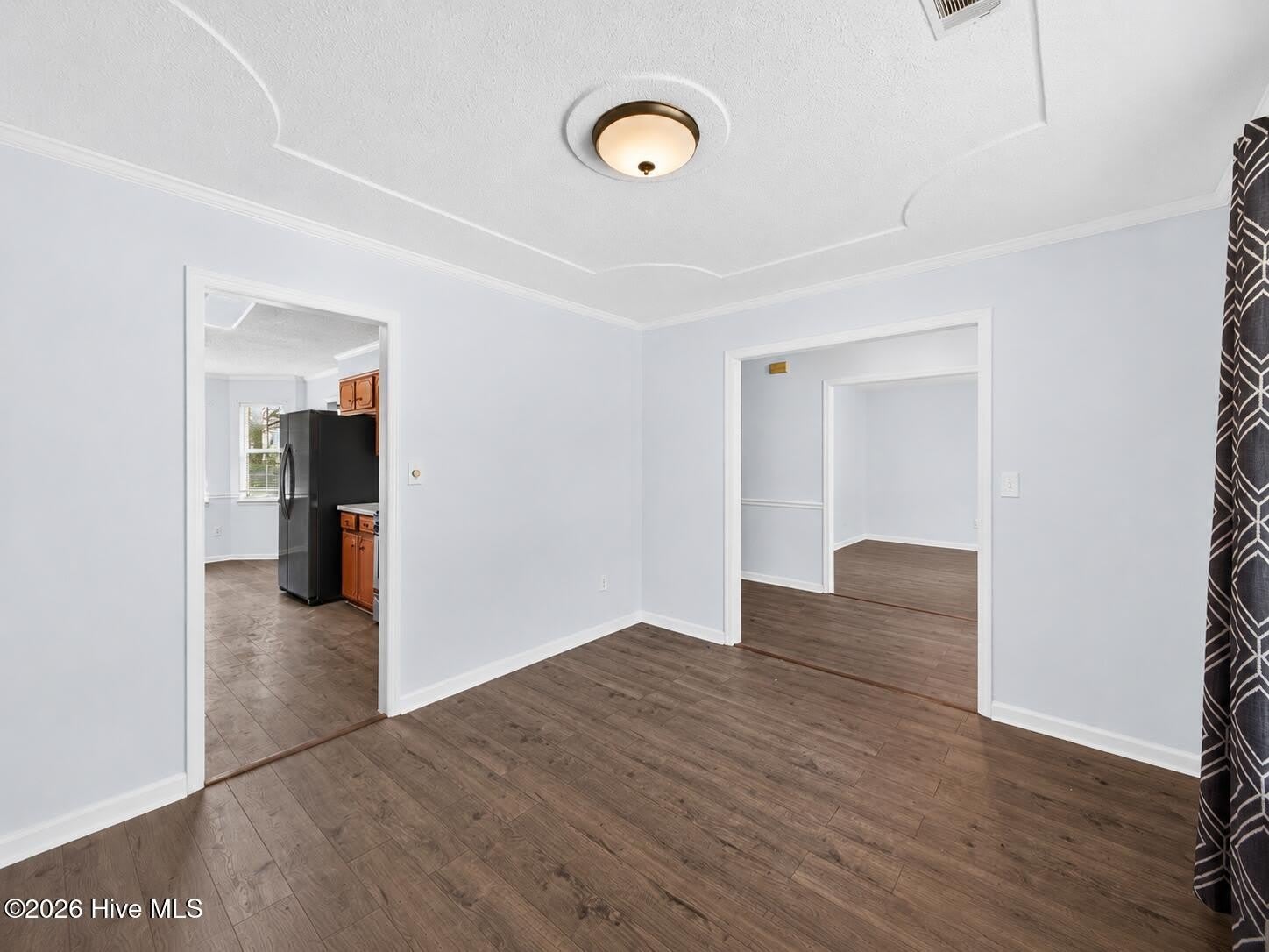 4810 Golden Leaf Lane – photo 5