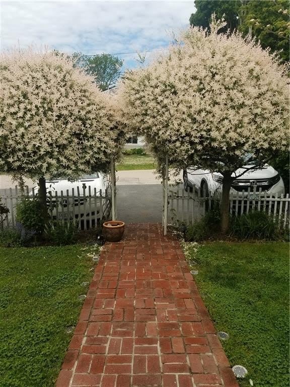 23 Shield Street – photo 2