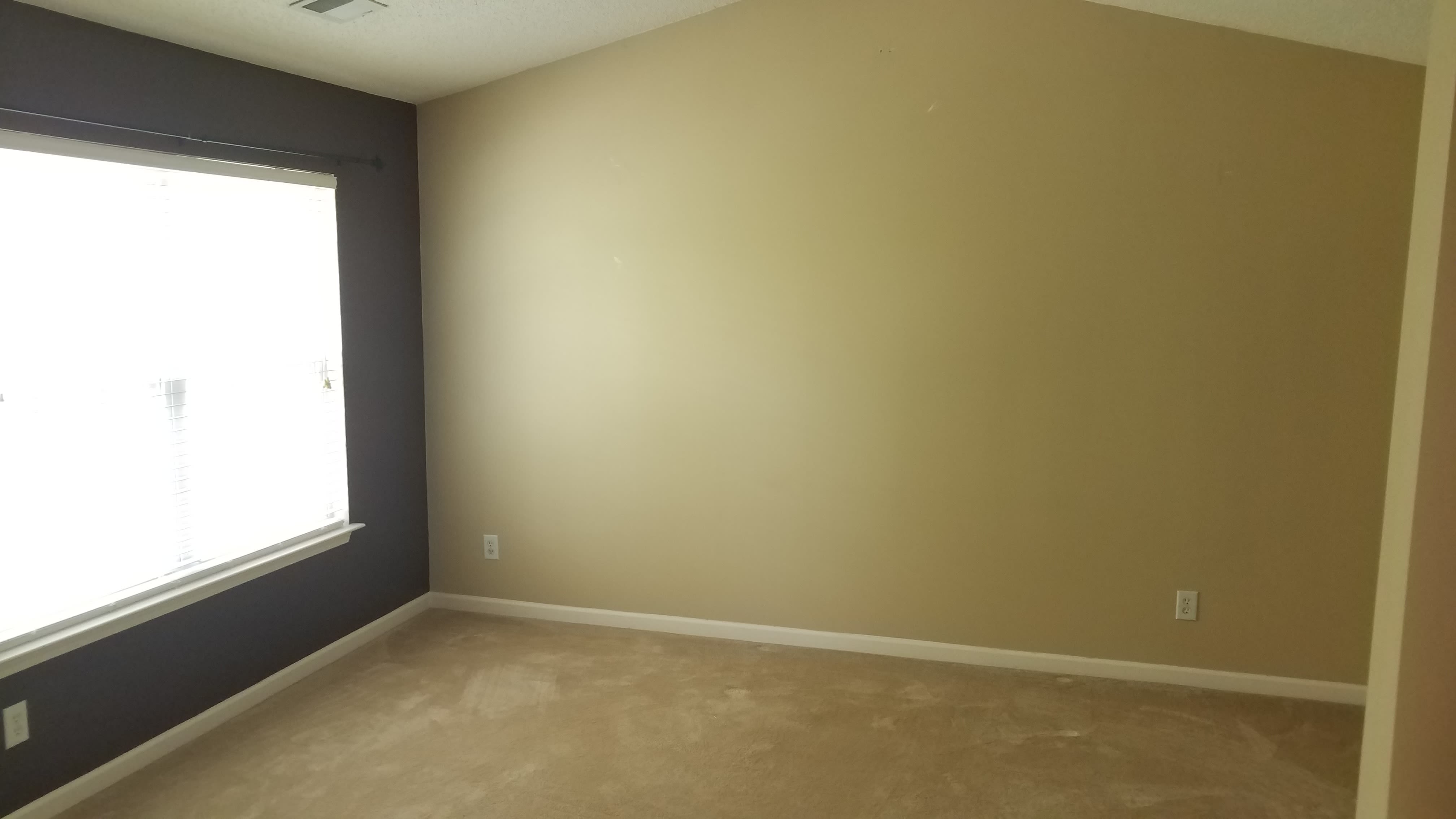6311 Bermuda Way – photo 5