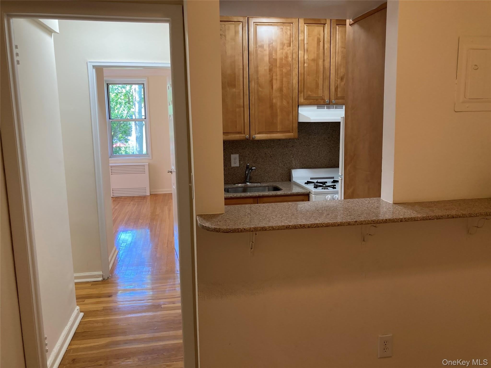 50 S Middle Neck Road – photo 5