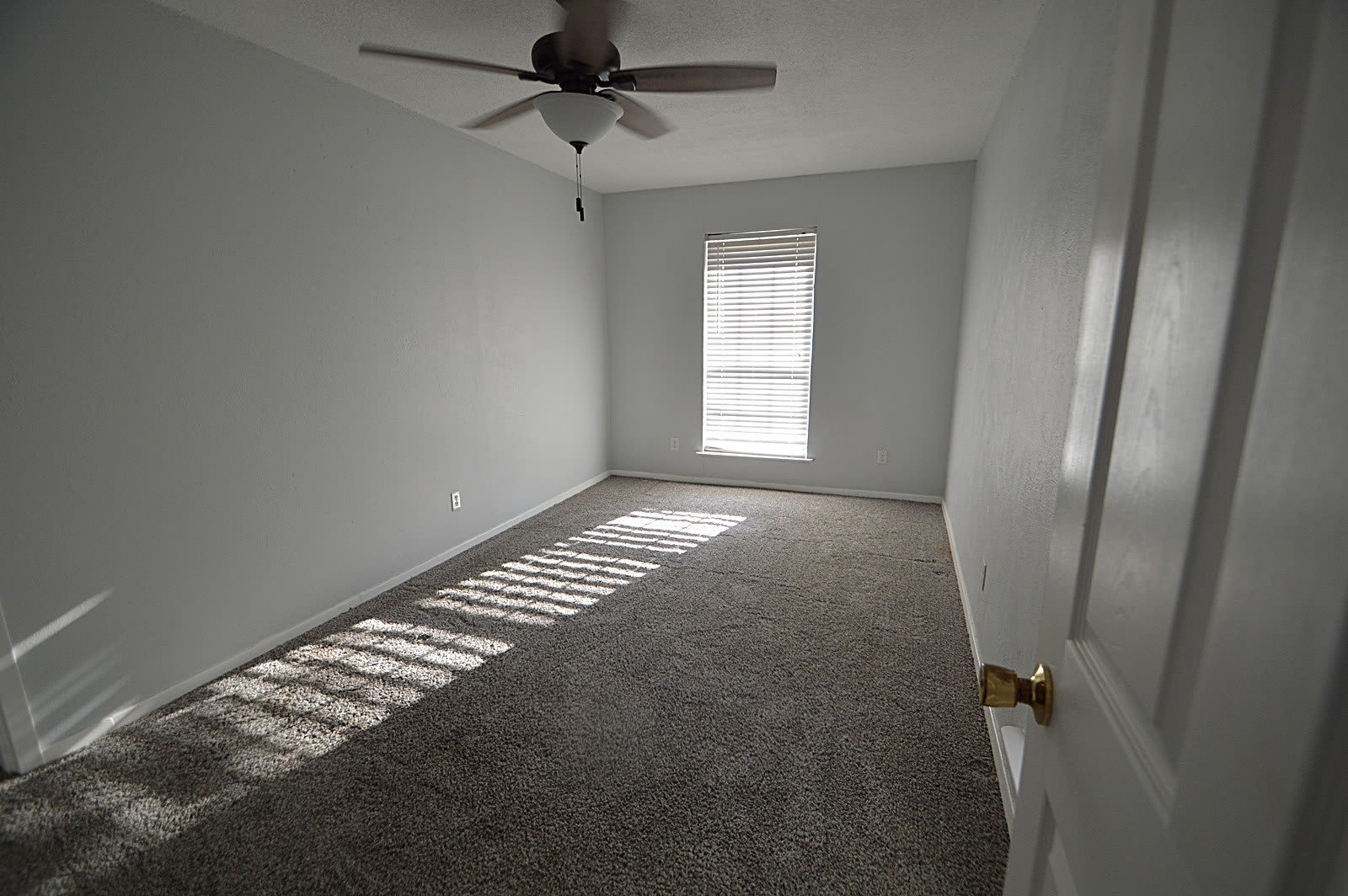 201 Kirk Lane – photo 5