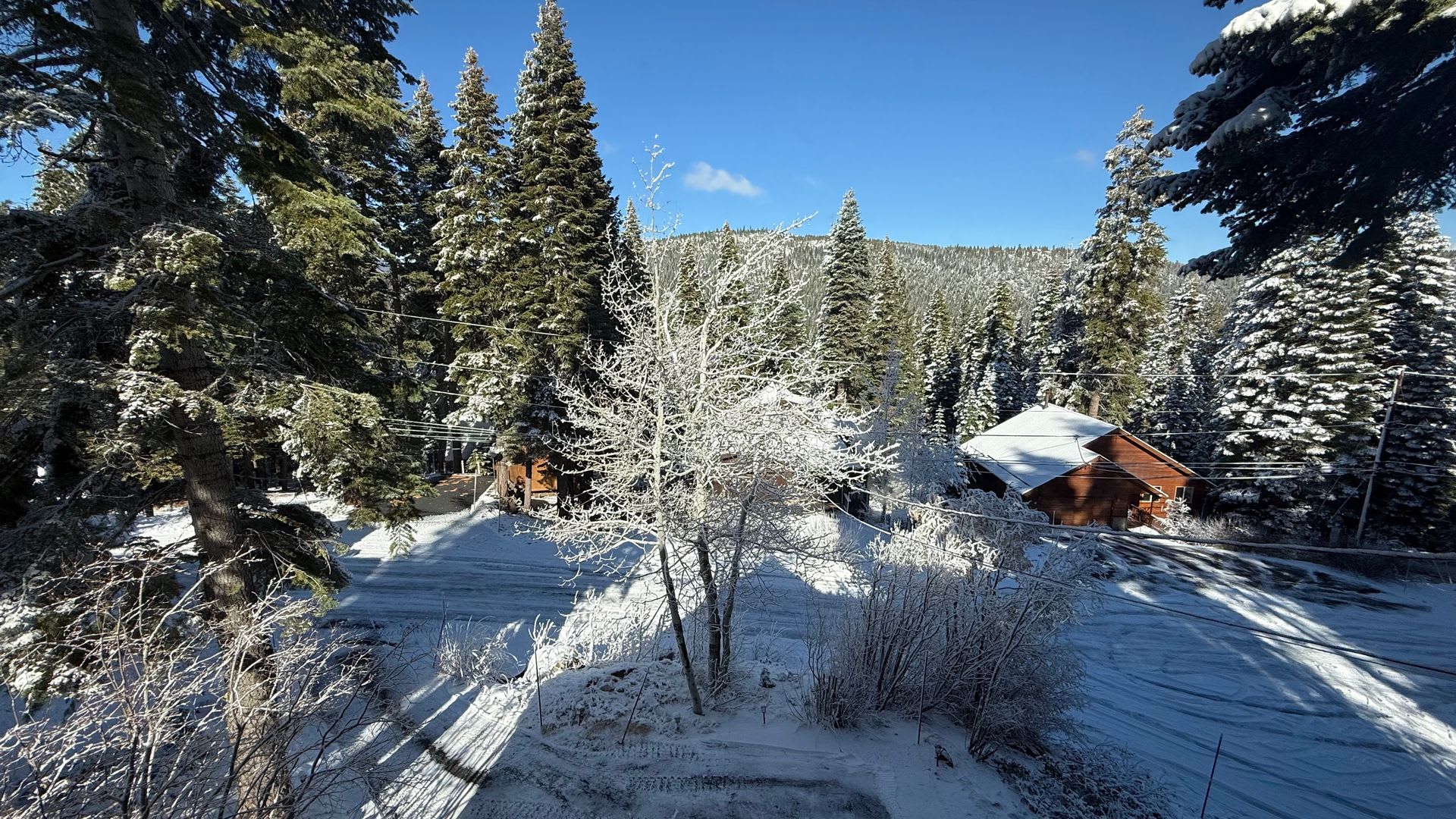 Charming Tahoe Donner Log Cabin with Hot Tub – photo 3
