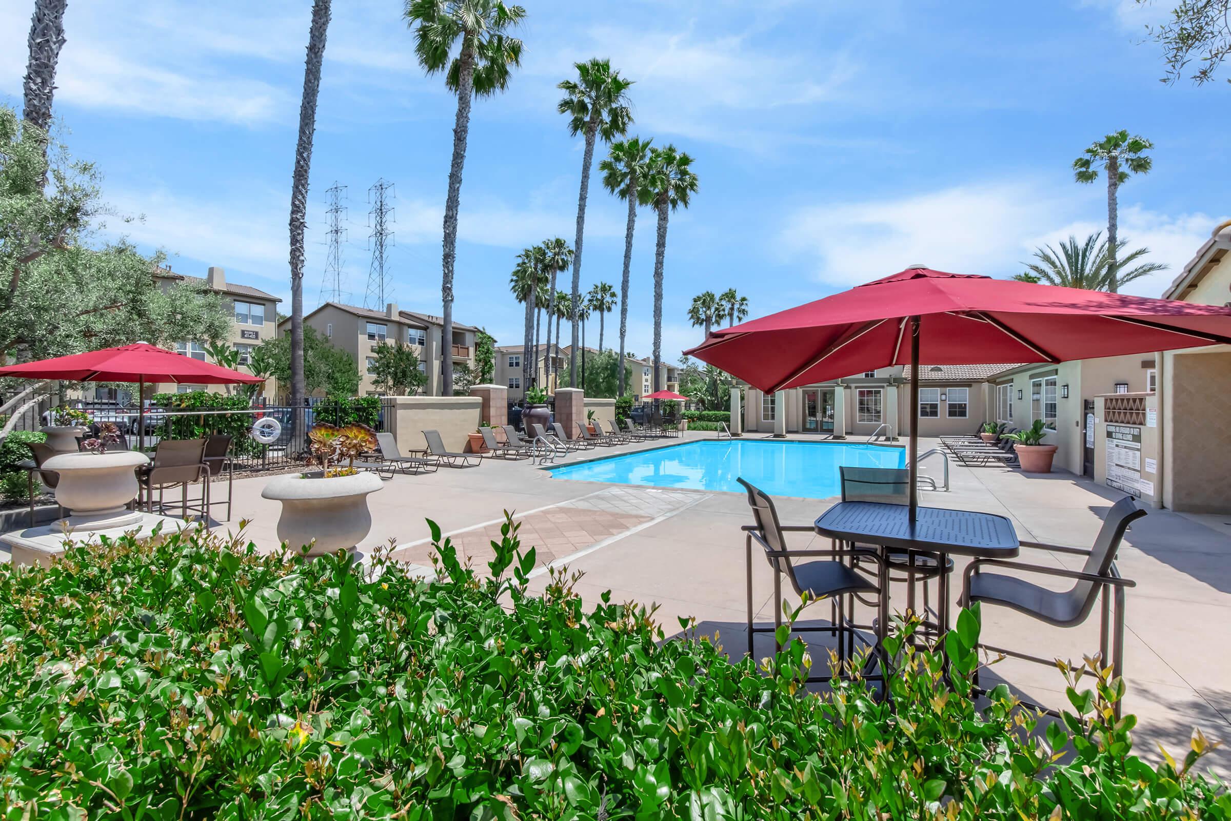 Laurel Vista Apartment Homes – photo 4