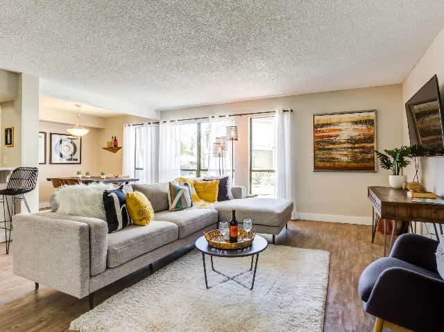 Avana At The Pointe – photo 2