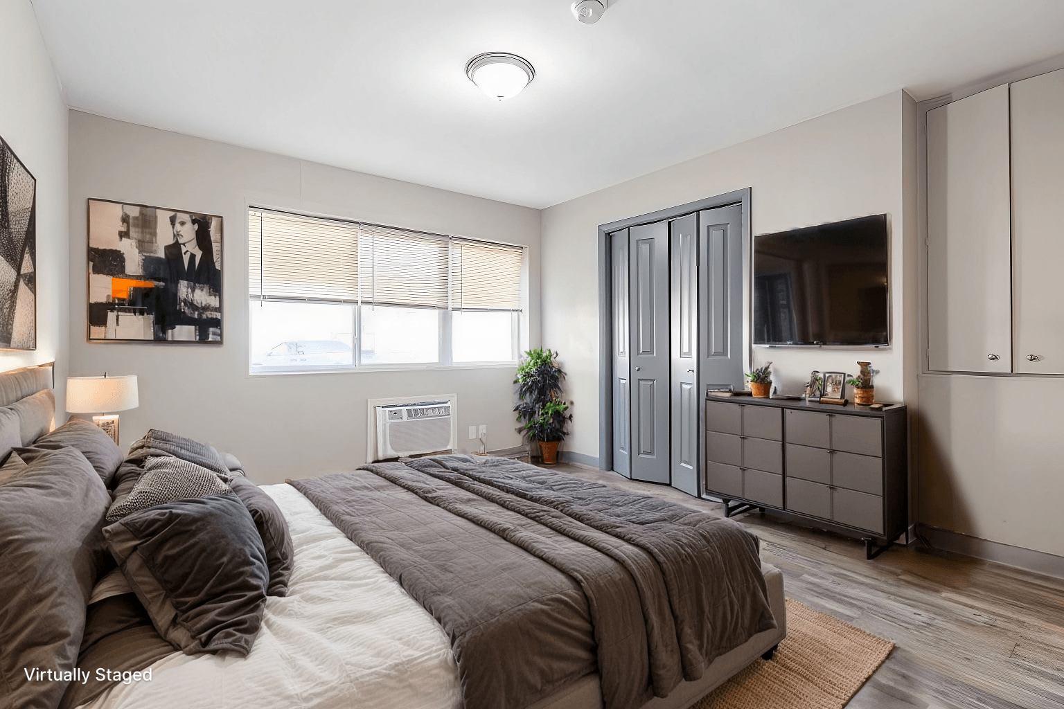 Saluki Apartments – photo 2