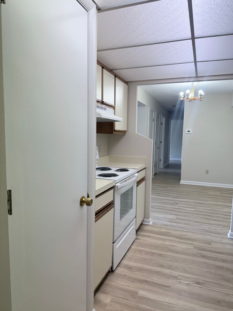 123 Turtle Creek Road #11 – photo 5