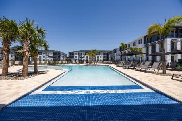 Madison Palms – photo 1