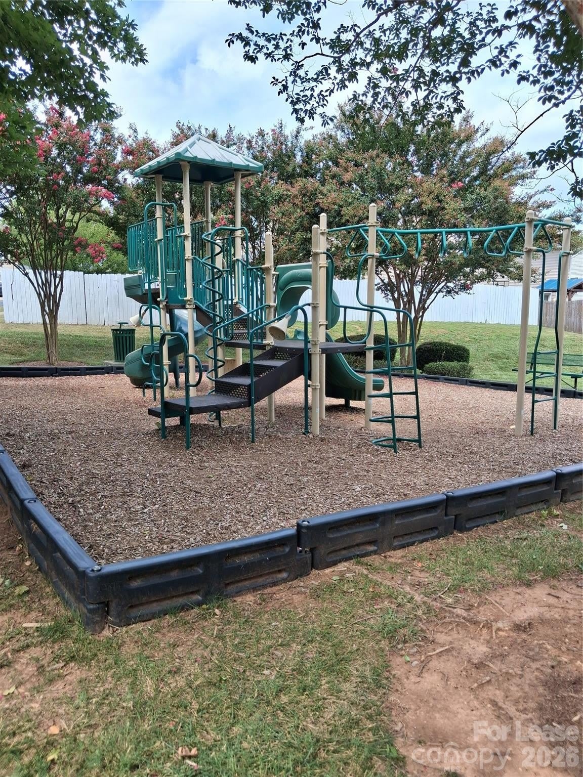 8214 Deodora Cedar Lane – photo 4