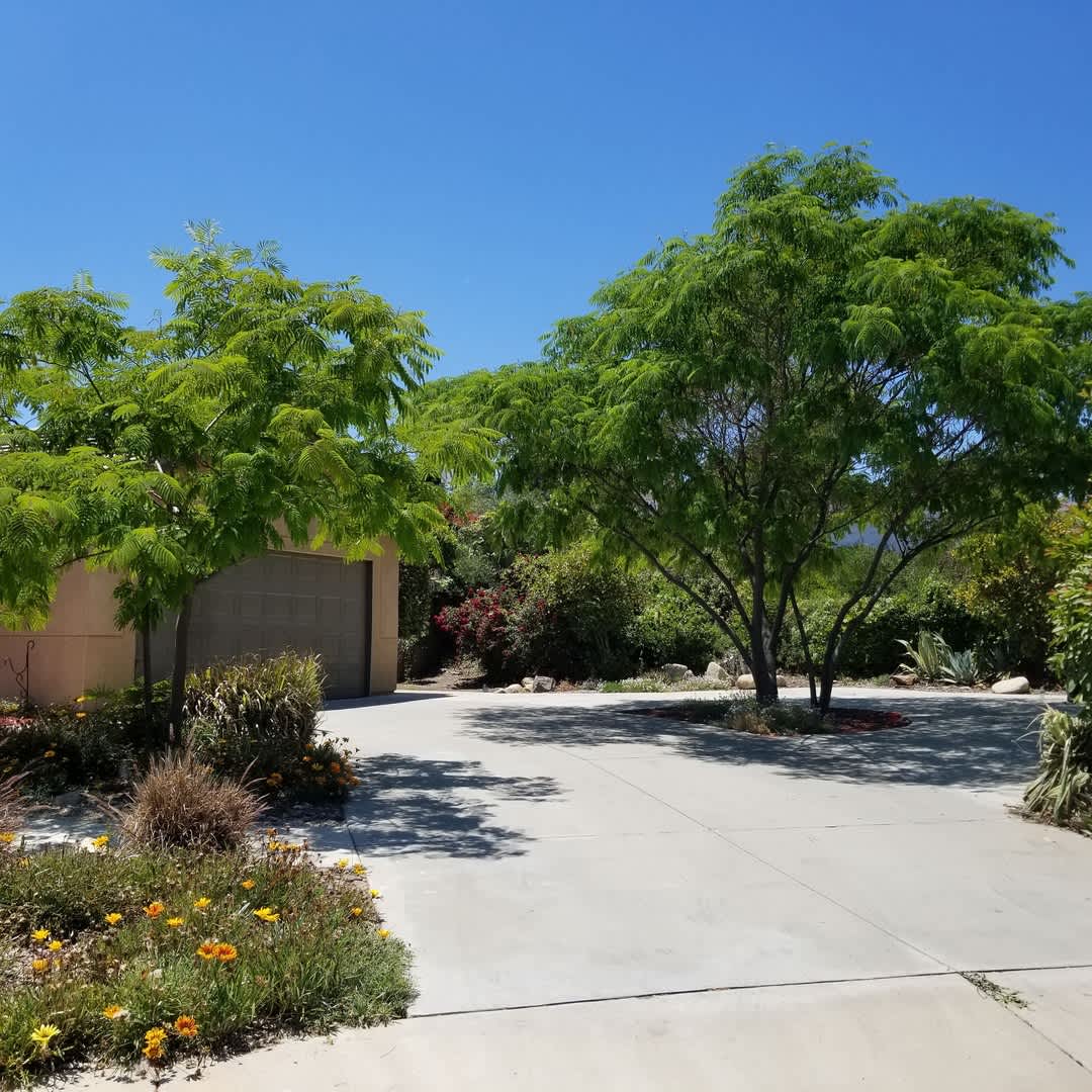 Coming Soon, Beautiful 4 bedroom home for rent – photo 1