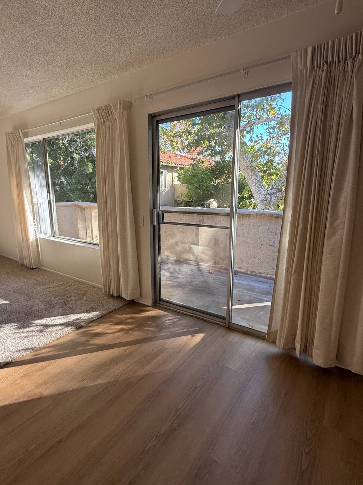 117 W Avenida De Los Arboles – photo 5