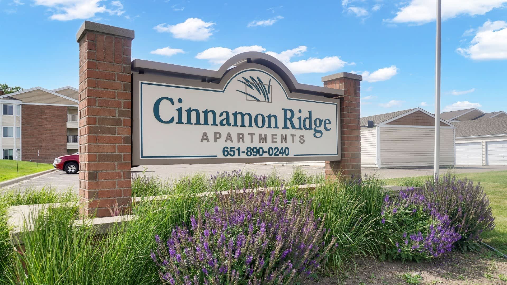 Cinnamon Ridge – photo 2