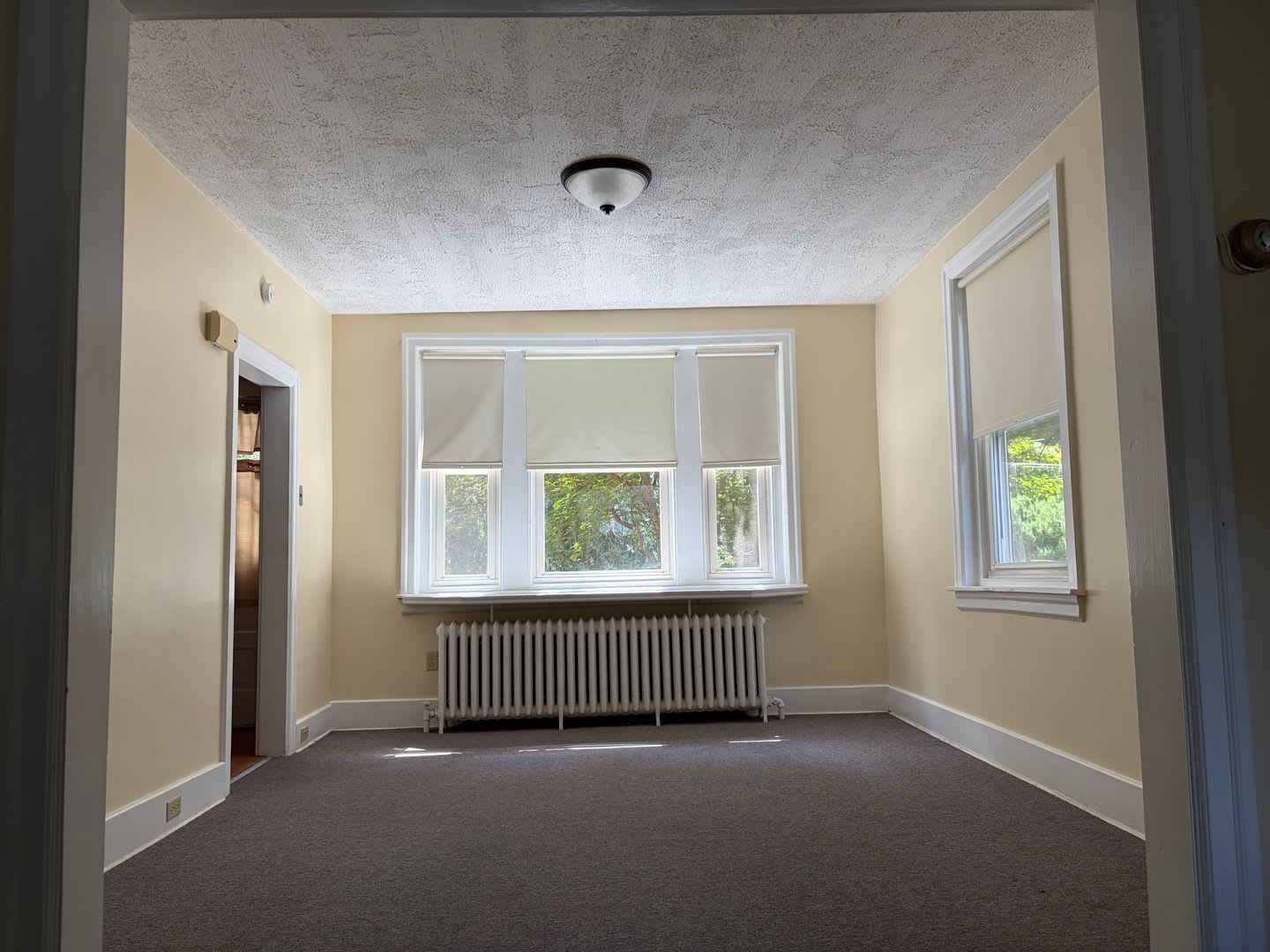 Beautiful Single Family Home in Wyomissing! – photo 4