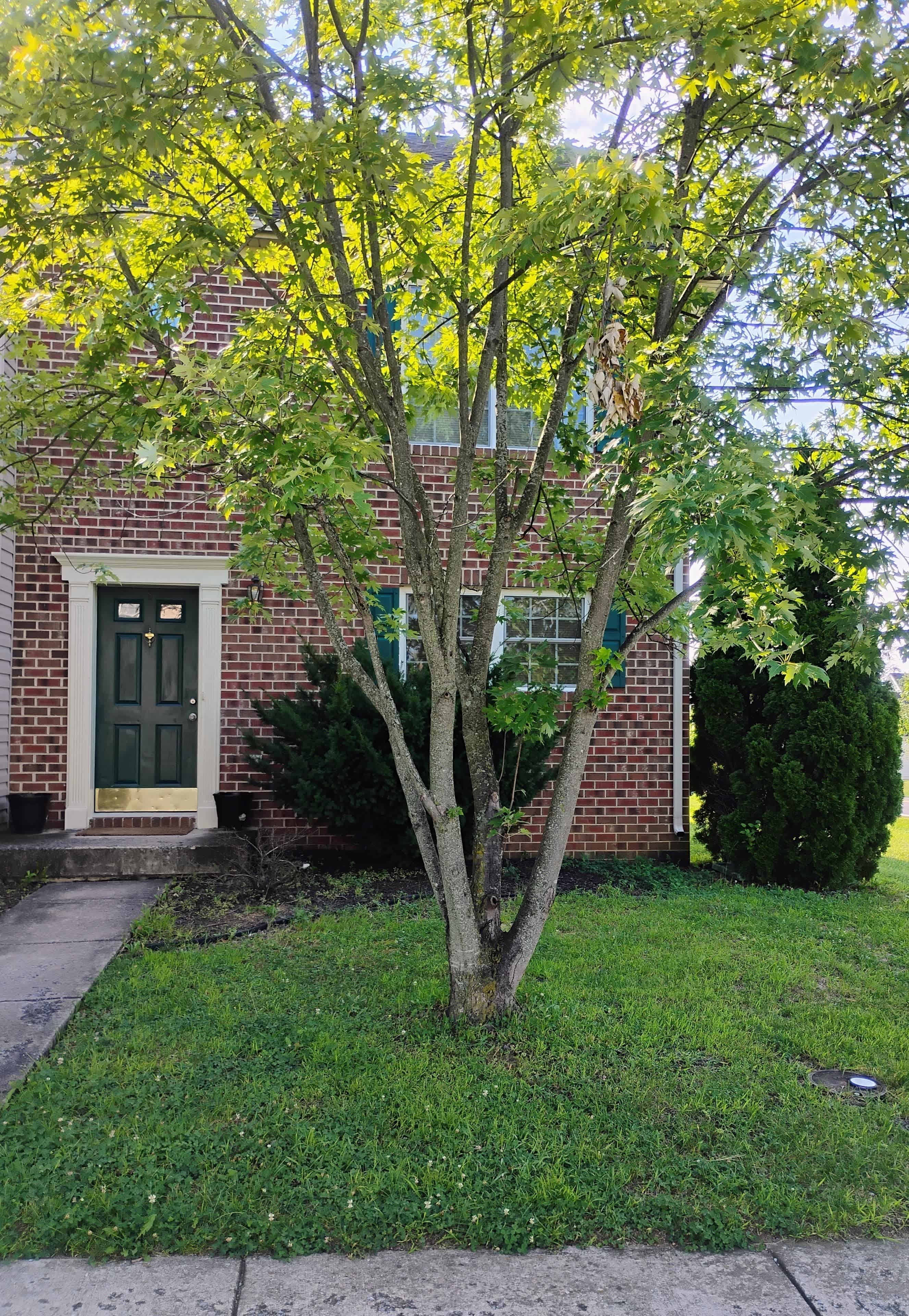 8 Mabel Ln – photo 1