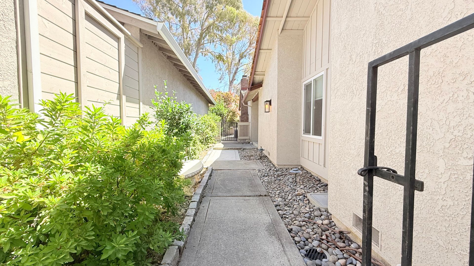 Bright and Airy, Single-Story, 4BD/2.5BA Home in Crow Canyon Country Club, Danville- Available NOW! – photo 4