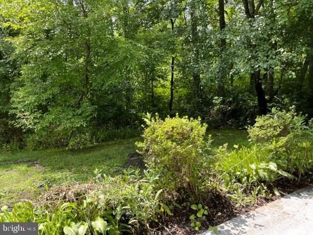 75 KENWOOD – photo 4