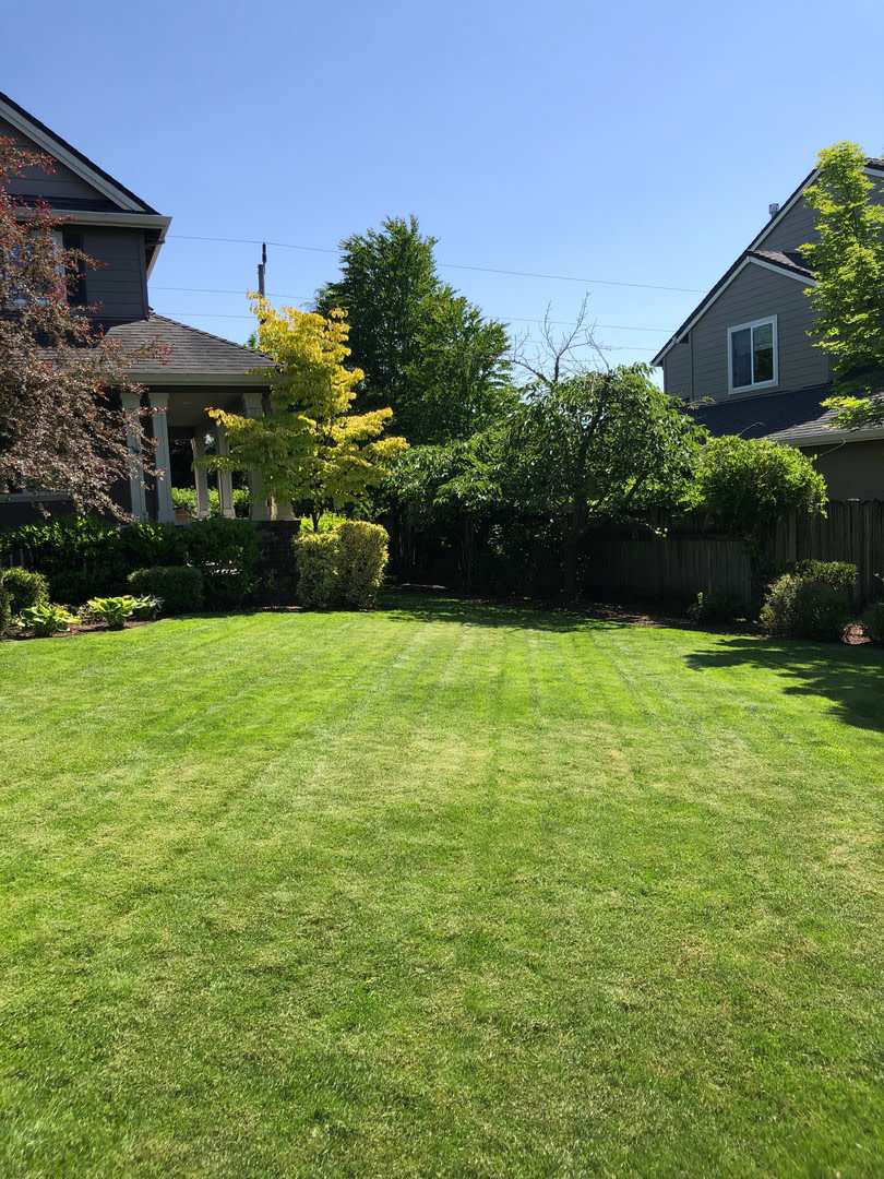 5 Bedrooms And 2 5 Bathrooms With Views Of The Rolling Hills Of Corvallis Country Club – photo 3