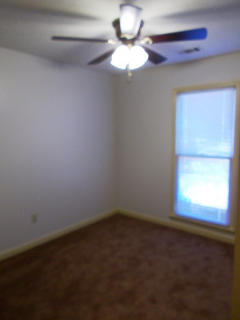 6806 Playfield Drive – photo 5