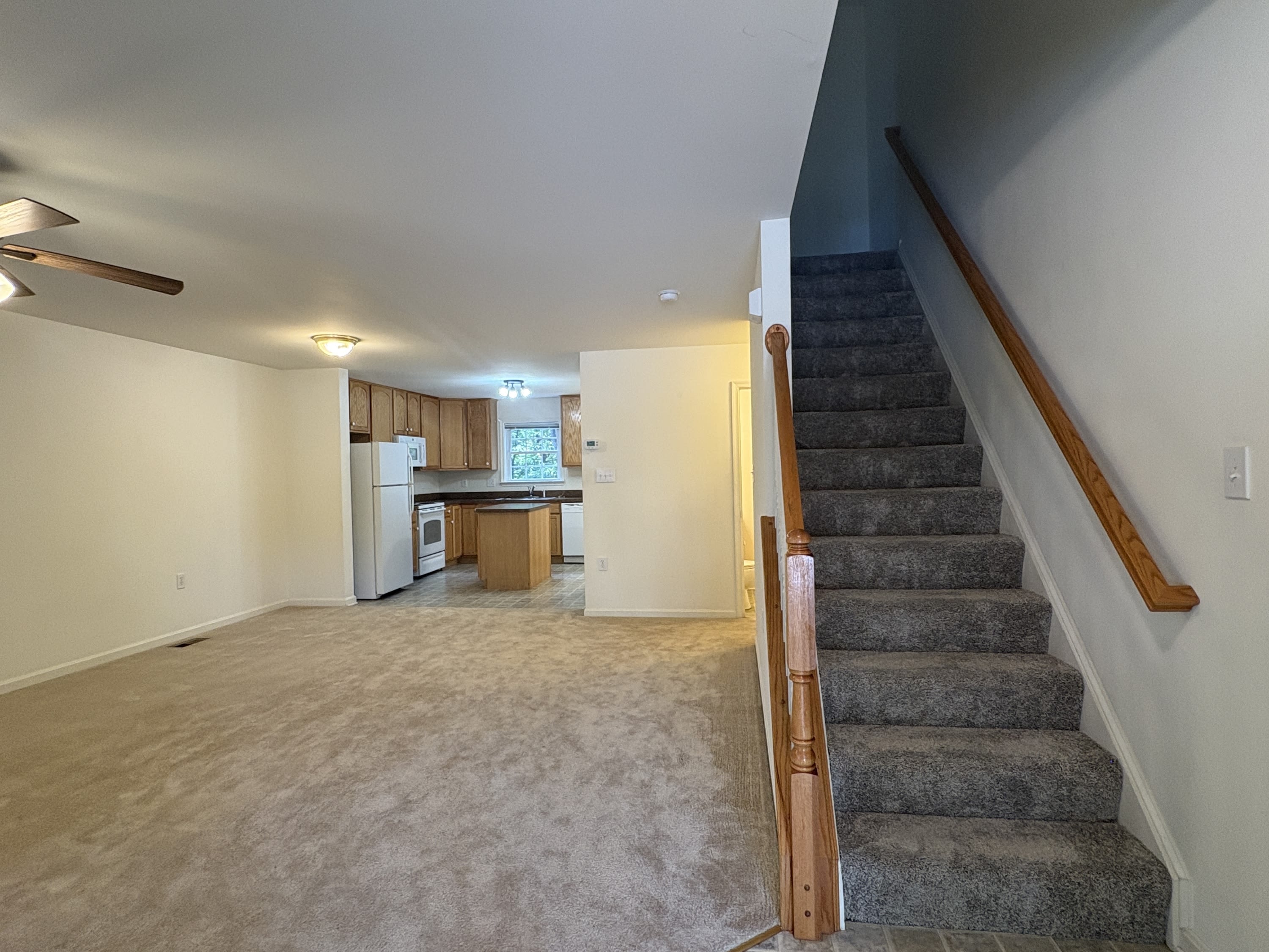 55 Mabel Lane – photo 5