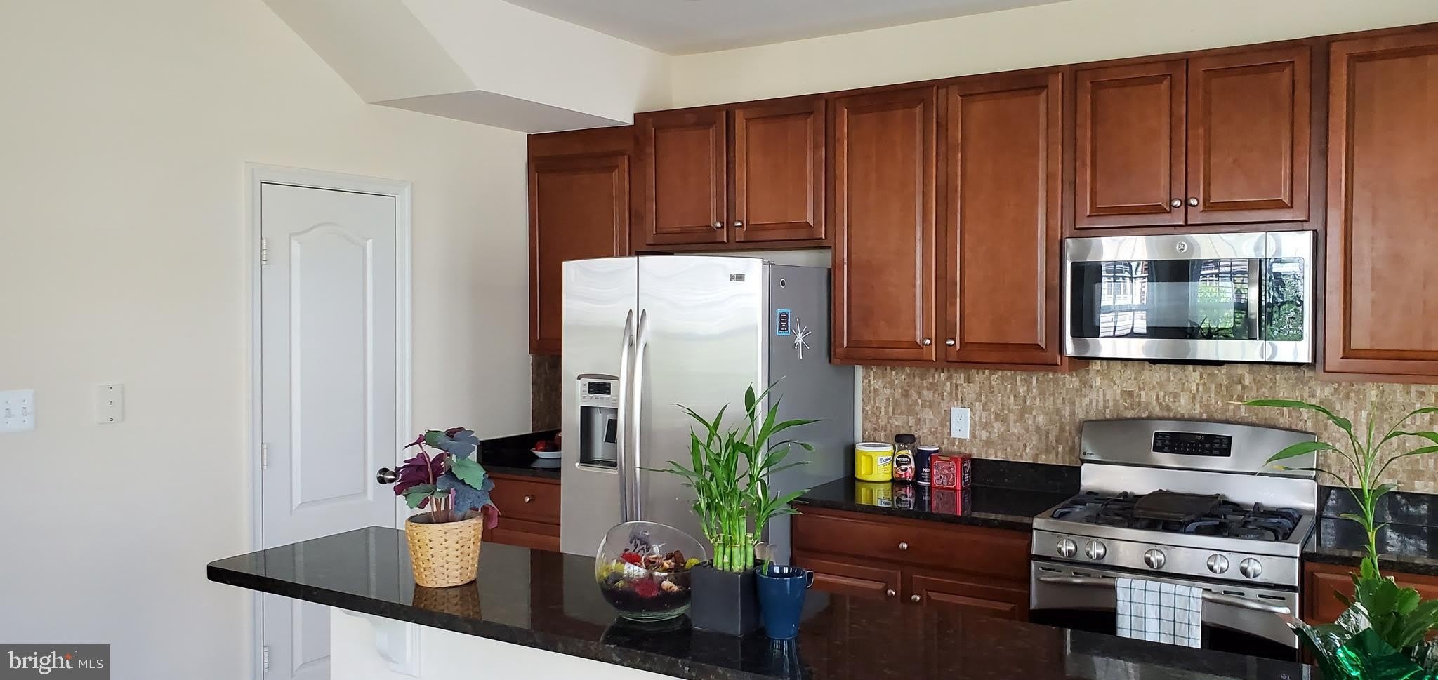 12425 HORSESHOE BEND Circle – photo 5