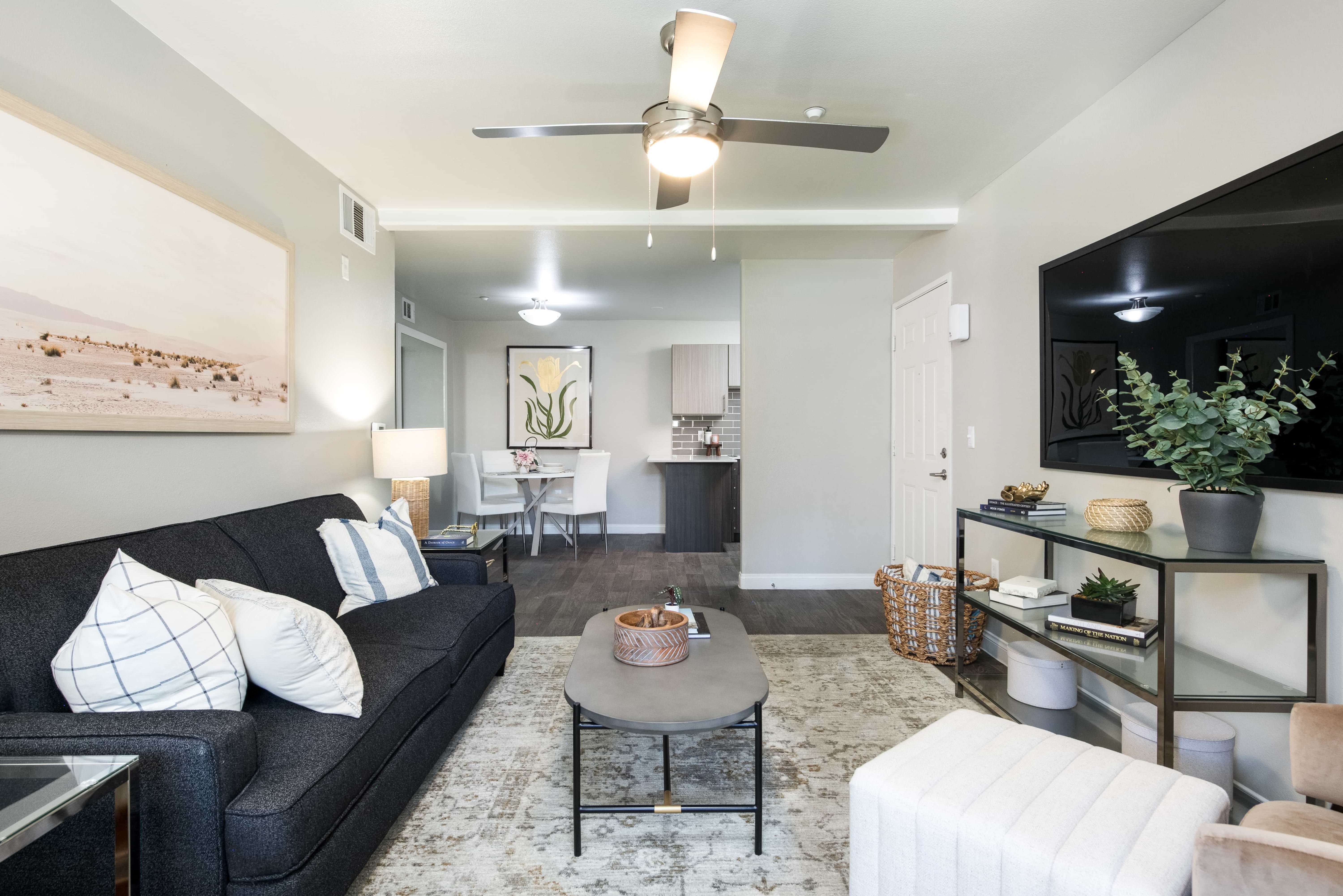 Amara Spring Valley Apartments – photo 4